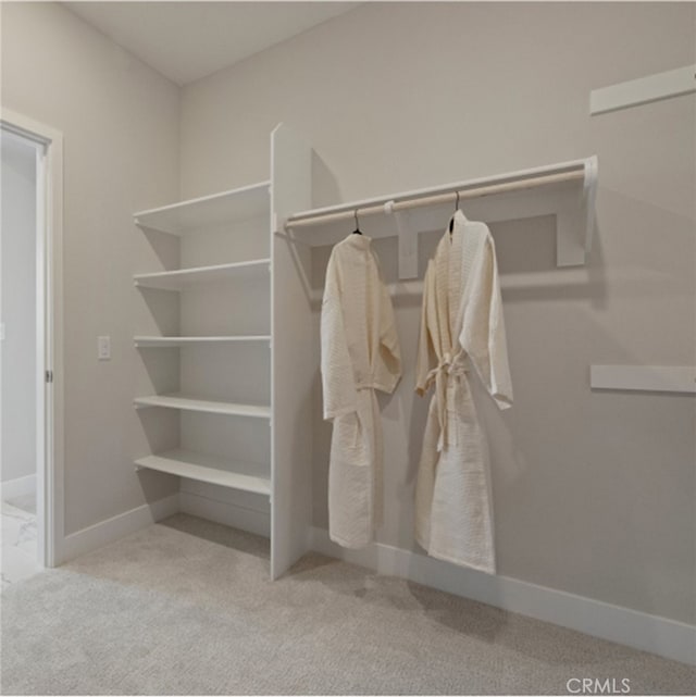 spacious closet with light carpet