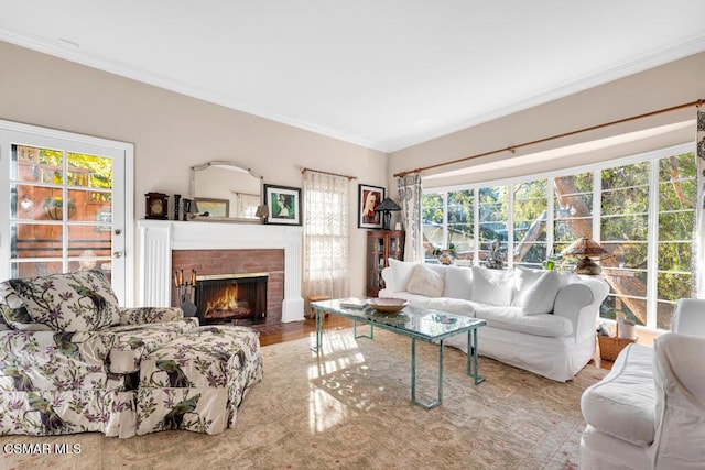 living room with a fireplace, wood-type flooring, and crown molding