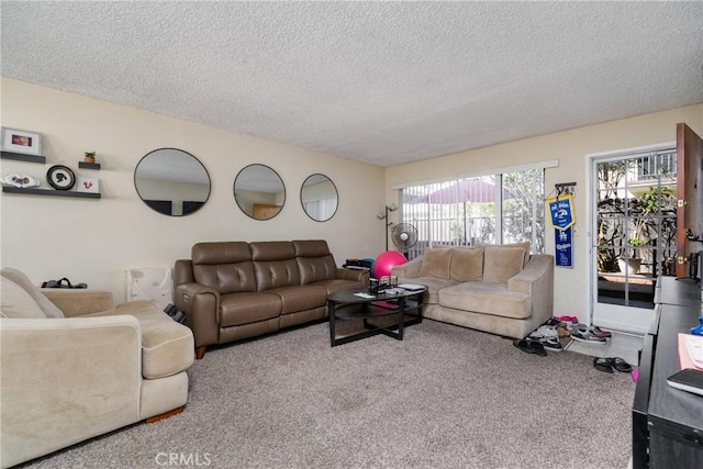 living area with a textured ceiling and carpet