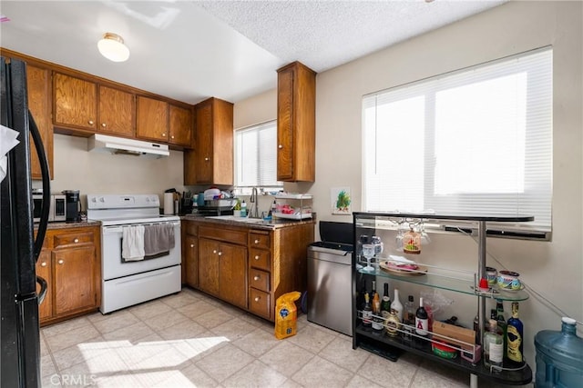 kitchen featuring under cabinet range hood, light floors, brown cabinetry, and electric stove