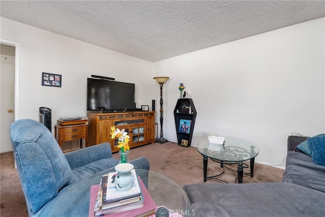 living room featuring carpet flooring and a textured ceiling