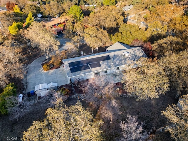 43376 Crystal Springs Way, Coarsegold, CA 93614 - photo 53