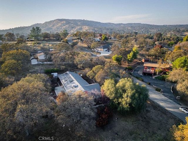43376 Crystal Springs Way, Coarsegold, CA 93614 - photo 56