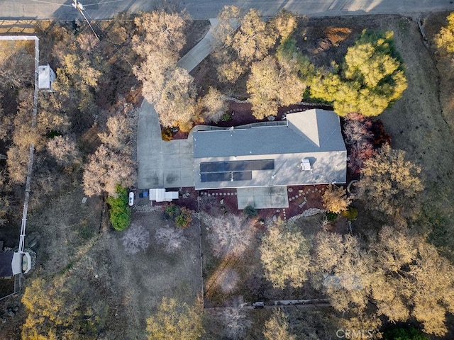 43376 Crystal Springs Way, Coarsegold, CA 93614 - photo 58