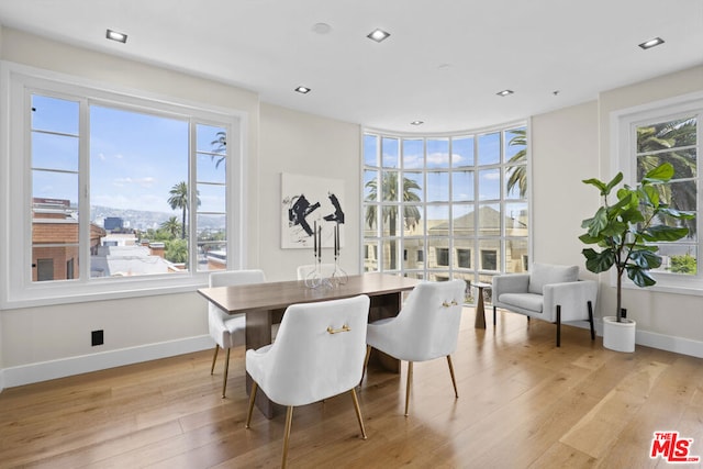 dining room with light hardwood / wood-style flooring