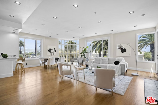 living room featuring hardwood / wood-style floors and a wealth of natural light