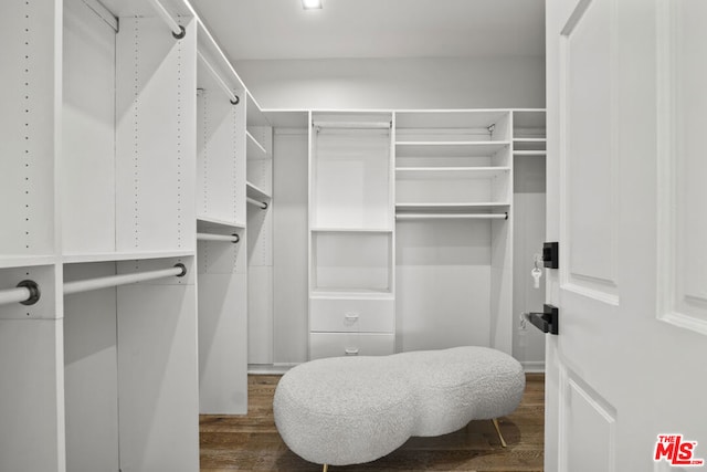 walk in closet with wood-type flooring