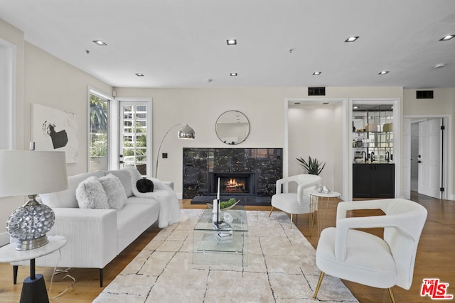 living room featuring a fireplace and wood-type flooring