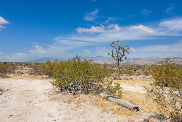 view of local wilderness with a mountain view