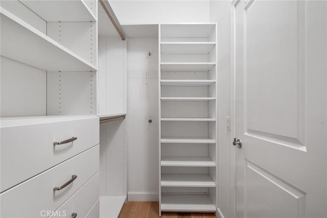 spacious closet featuring hardwood / wood-style flooring