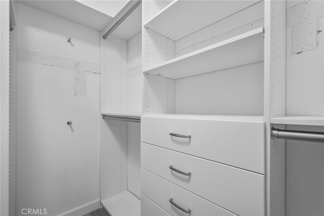 view of spacious closet