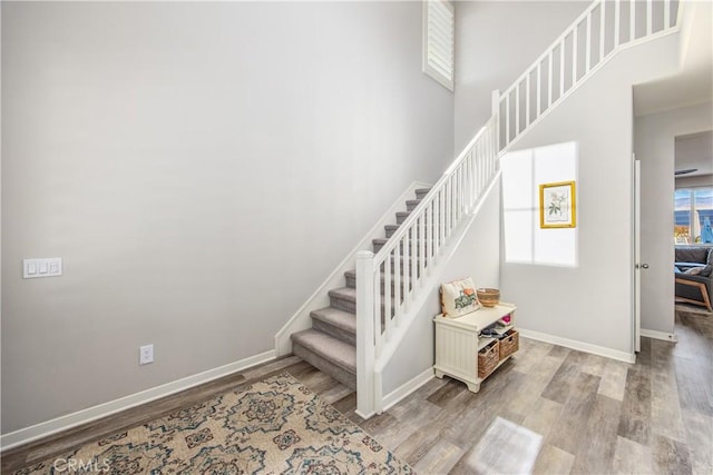 stairway featuring hardwood / wood-style floors