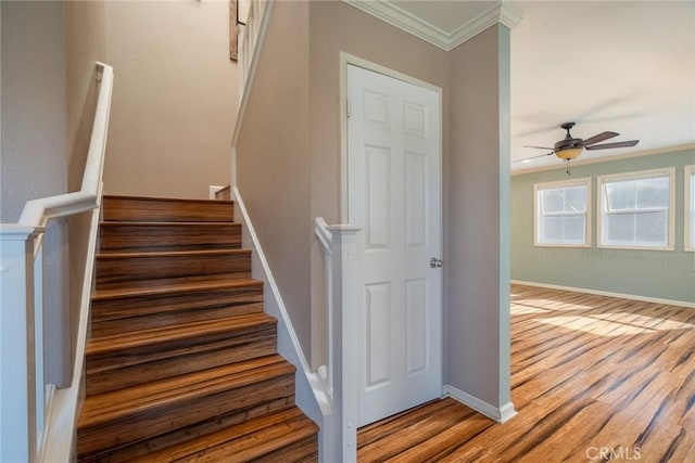 stairs with hardwood / wood-style flooring, ceiling fan, and crown molding