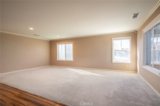 carpeted empty room with ornamental molding and a healthy amount of sunlight