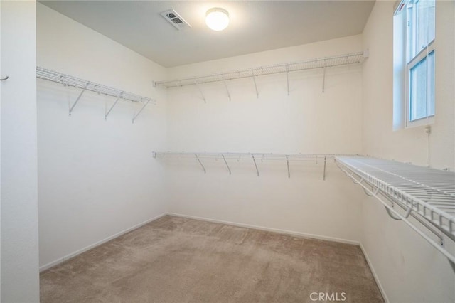 walk in closet with light carpet