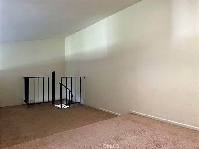 additional living space with carpet floors