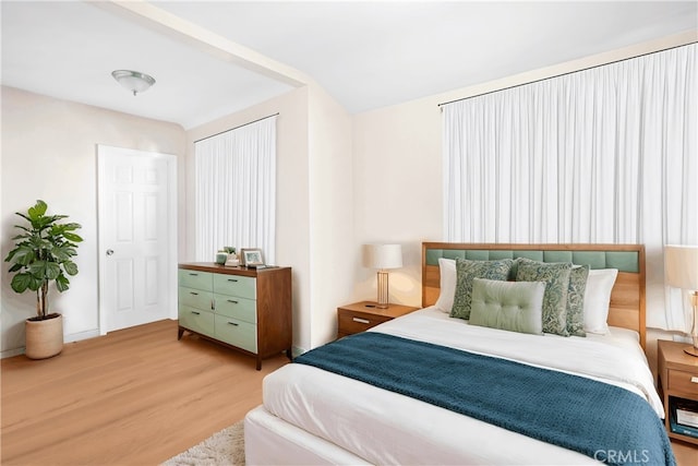 bedroom with a closet and wood-type flooring