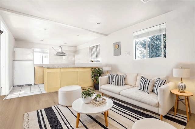 living room featuring light hardwood / wood-style floors