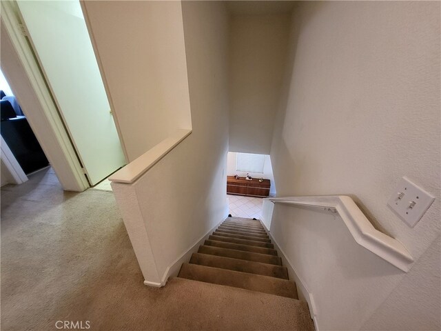 stairs featuring carpet flooring