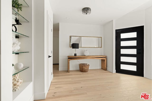 foyer with light hardwood / wood-style floors