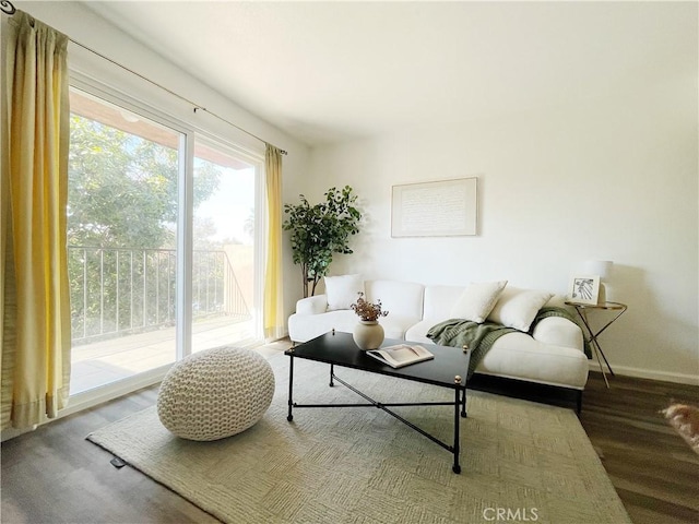 living room with hardwood / wood-style floors