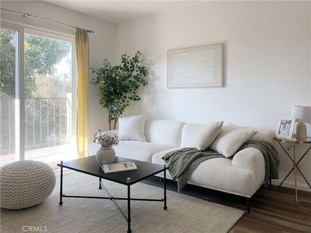 living room with wood-type flooring