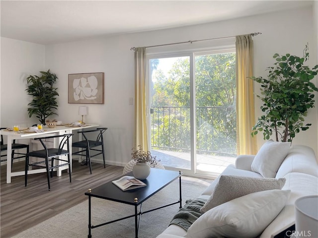 living room with wood-type flooring