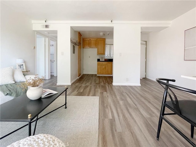 living room featuring light hardwood / wood-style flooring