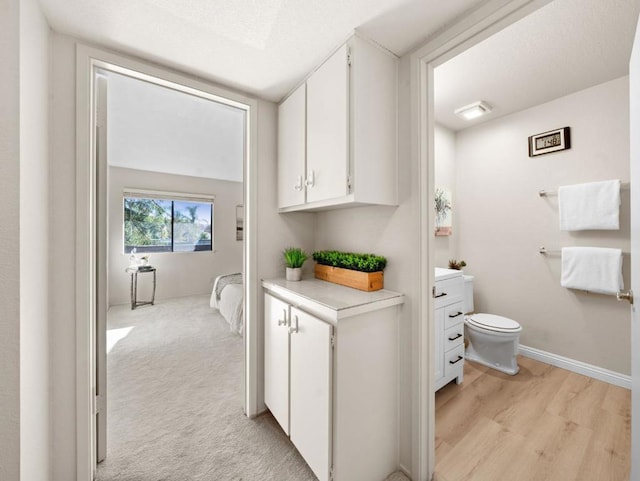 bathroom featuring vanity, toilet, and hardwood / wood-style floors