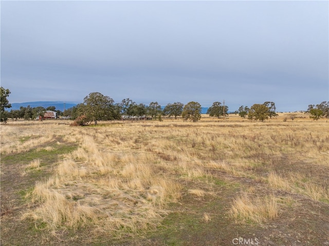 view of nature with a rural view