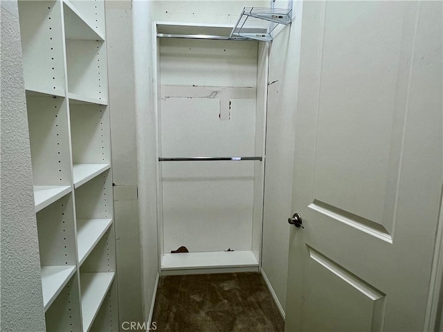 spacious closet with dark carpet