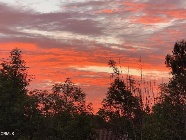 view of nature at dusk