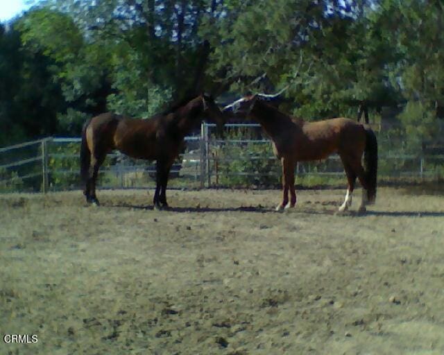 view of stable