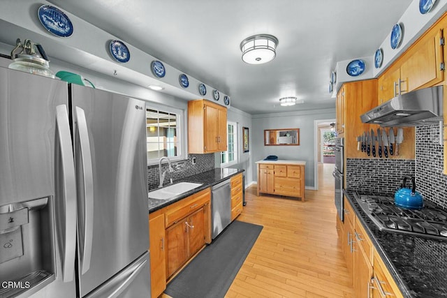 kitchen featuring light wood-style floors, appliances with stainless steel finishes, a sink, under cabinet range hood, and backsplash