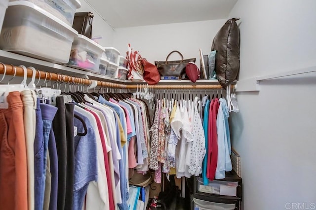 view of spacious closet