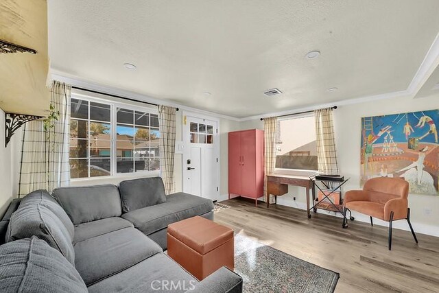 living room featuring hardwood / wood-style flooring, ornamental molding, a textured ceiling, and a wealth of natural light