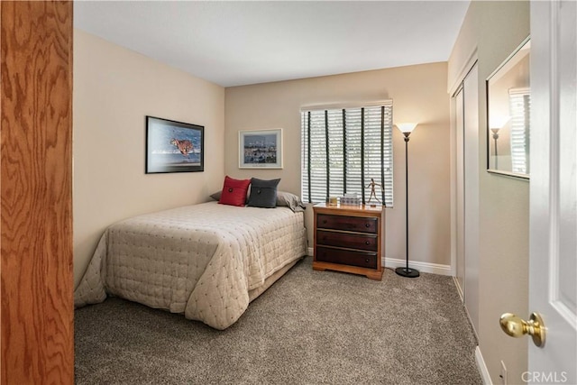 bedroom featuring carpet floors