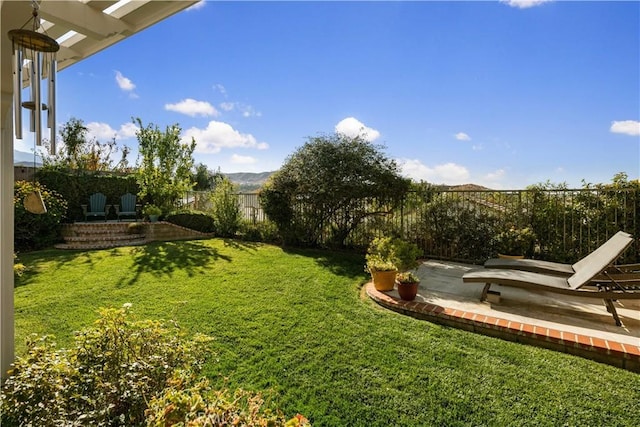 view of yard with a patio