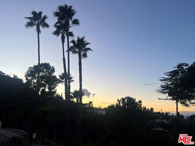 view of nature at dusk