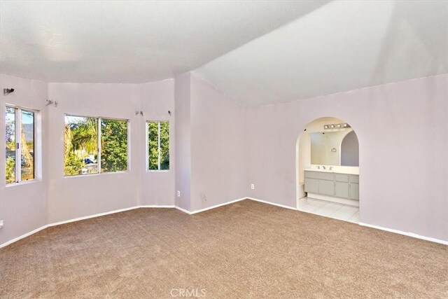 carpeted spare room featuring plenty of natural light and lofted ceiling