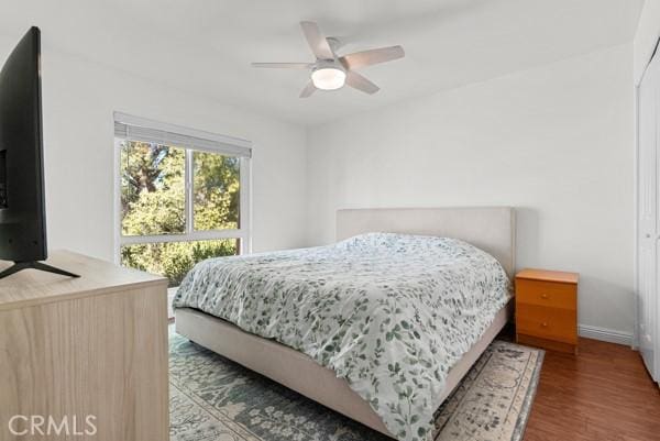 bedroom featuring ceiling fan, a closet, and wood-type flooring