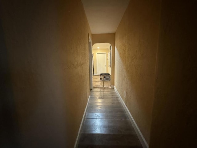 corridor featuring dark hardwood / wood-style floors