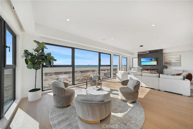 living room featuring a large fireplace and light hardwood / wood-style flooring