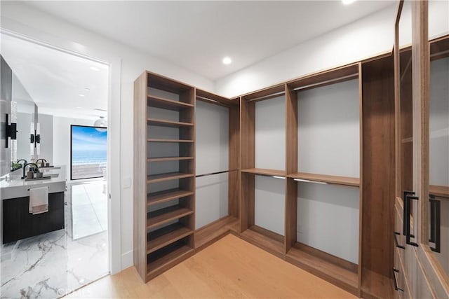 spacious closet with hardwood / wood-style floors