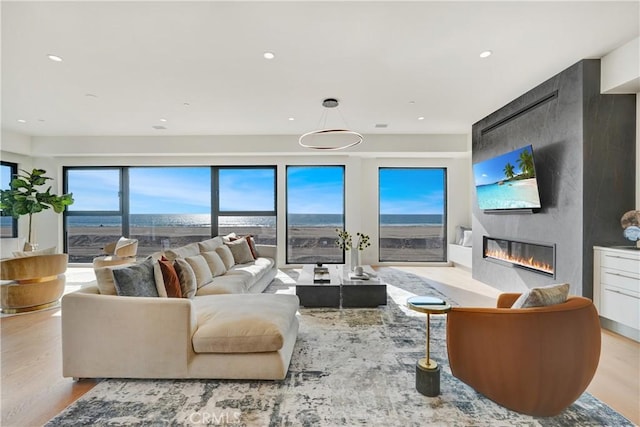 living room featuring light hardwood / wood-style floors and a fireplace