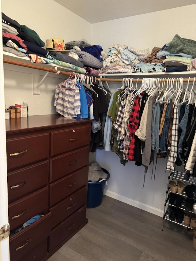 walk in closet featuring hardwood / wood-style flooring