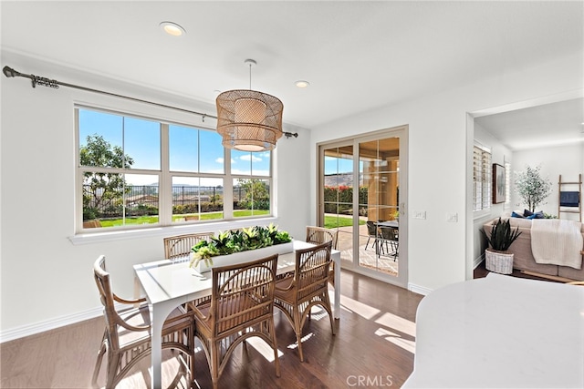 dining space featuring dark hardwood / wood-style flooring