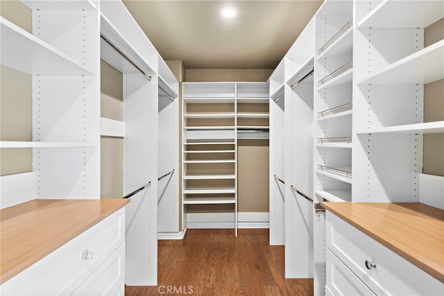 spacious closet with dark wood-type flooring