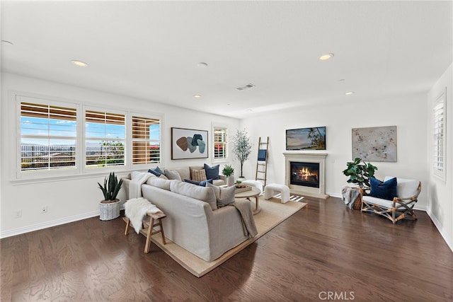 living room featuring dark wood-type flooring