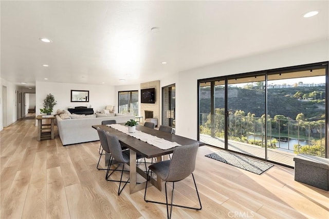 dining space featuring a water view and light wood-type flooring